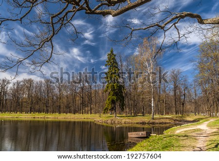 Early Spring in the park with the pond, yellow last year\'s grass and awakening trees