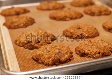 Food dessert, oatmeal chocolate chip cookie on a sheet pan after baking and are now ready after cooling from hot oven