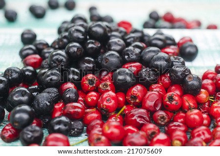 black chokeberry, Aronia melanocarpa and Hawthorn berries