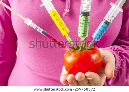 Genetically modified organism - ripe tomato with syringes in the hands of women