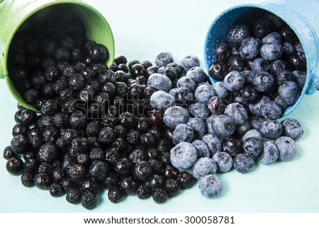 wild and cultivated blueberries
