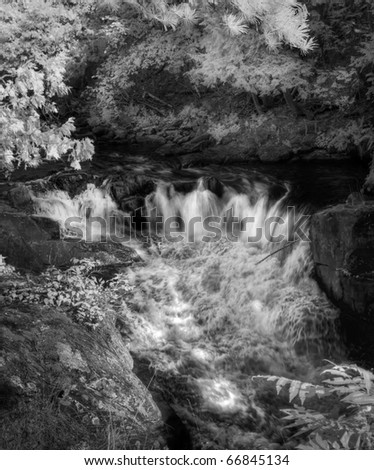 the upper gut canyon near Bancroft Ontario Canada in HDR black and white