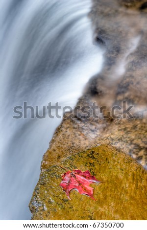 Lower Tews Falls  in hamilton ontario in the fall