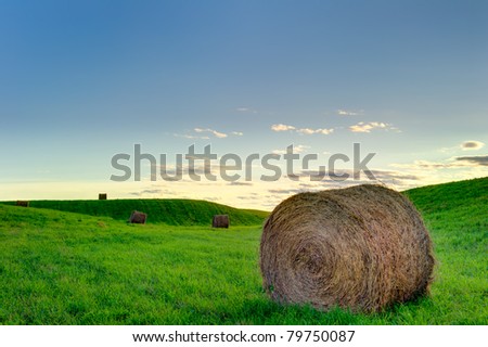 round hay bales in a green field at sunset with a blue sky