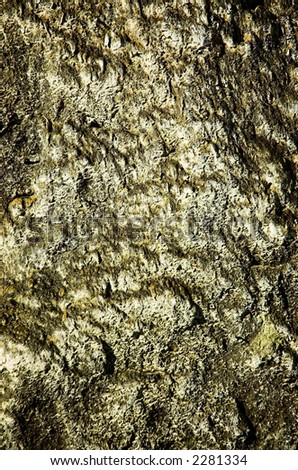 Textured gold and brown wall of a seaside cave