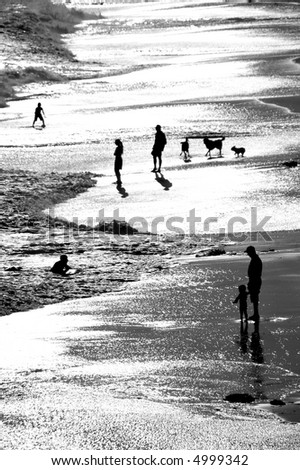 A silhouette of a man standing in the surf, holding his son\'s hand, with other people and dogs in the background