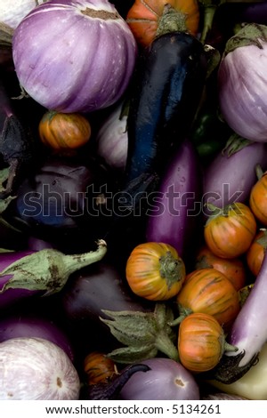 Eggplant Varieties Pictures