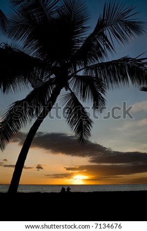sunset on beach with palm trees. sitting under a palm tree