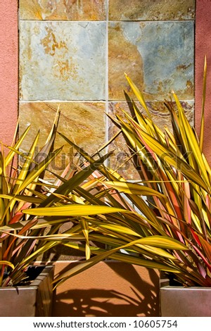 Planters of yellow soft yucca against a colorful stone background