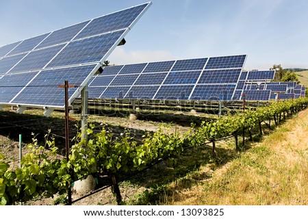 A group of solar panels that are powering the machinery of a California vinyard, reducing the carbon footprint