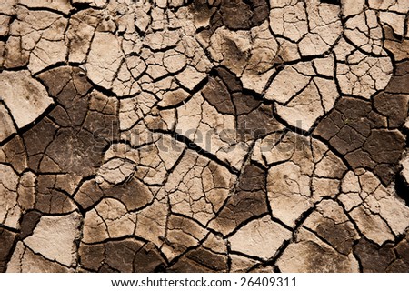 Cracked chocolate brown surface of the dry bed of a body of water