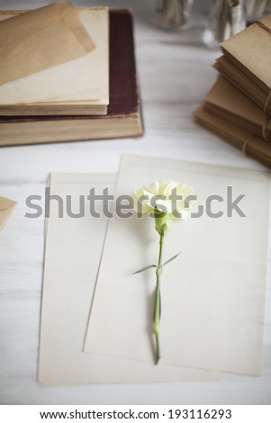 the image of flower and paper