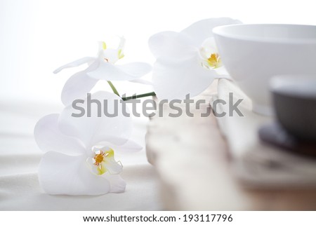 the image of White flowers and tea