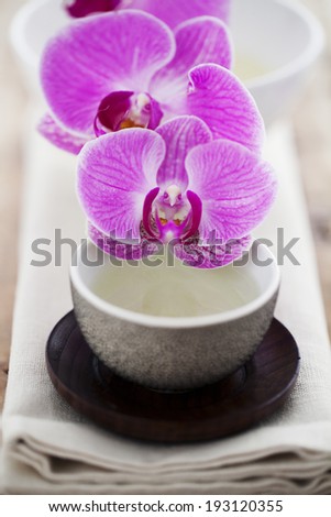 the image of flower and tea cup