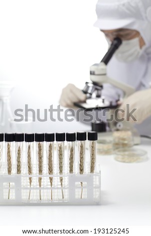 the image of science and lab work