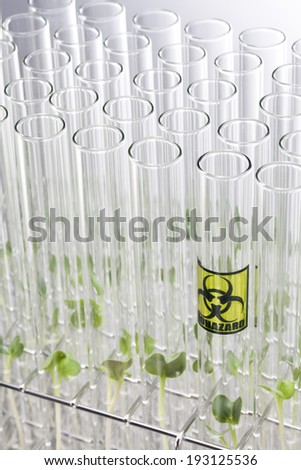 the image of science and growing greens