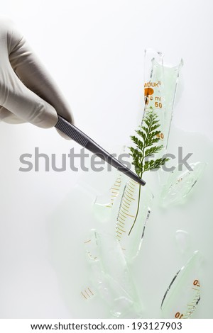the image of science and testing plants