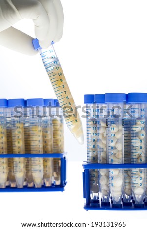 the image of science and test tubes