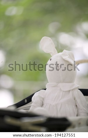 the image of giving birth and rabbit doll