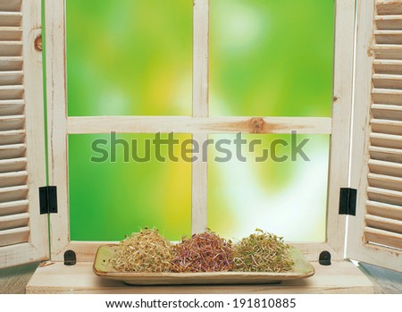 Sprouts by window