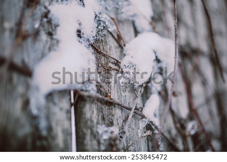 Snow on a wooden fence close up