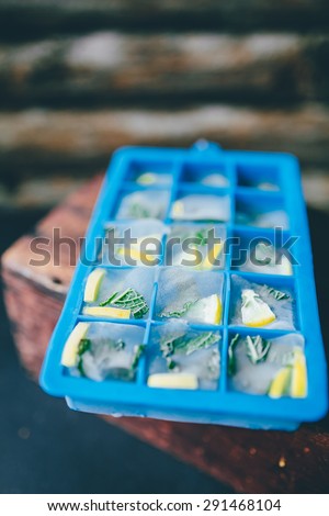 Lemon mint ice cubes