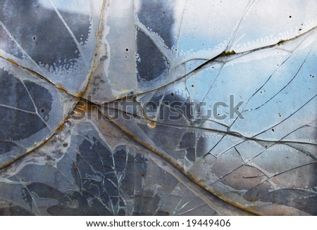 stock photo : background of a blind window with cracks