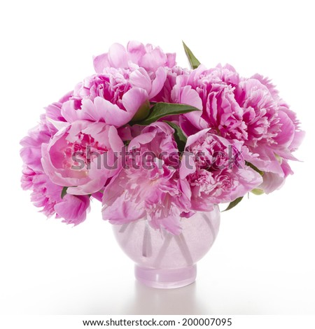 Pink peonies on a white background. Bouquet for Valentine\'s Day