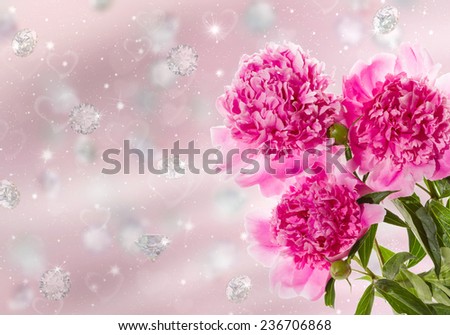 Three pink peony on a pink background. Background Valentine\'s Day.