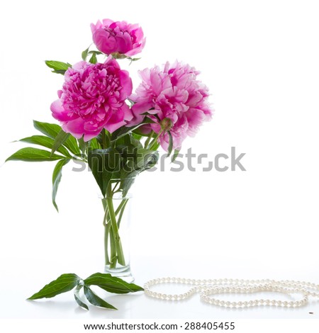 Three pink peony on a white background. Bouquet for Valentine\'s Day