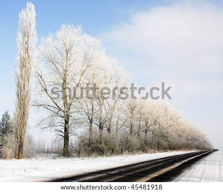 road in winter sunshine
