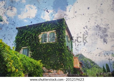 ivy house,vintage