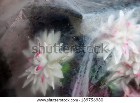 Old artificial flowers thrown away in polyethylene in the rain.