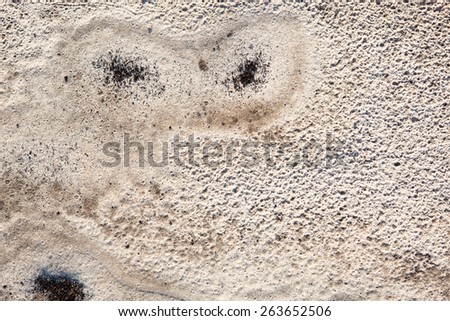 Sand surface after the rain with the visible traces of the raindrops and grains of black soil