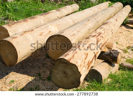 Peeled thick logs in the log house construction yard