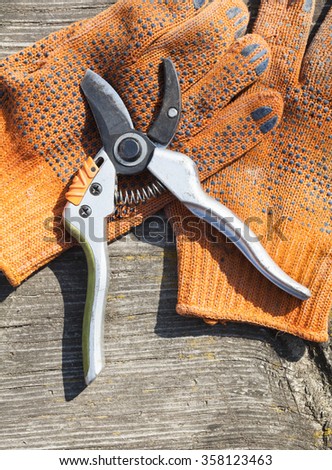 Pruning shears and orange protective gloves on the wooden surface.