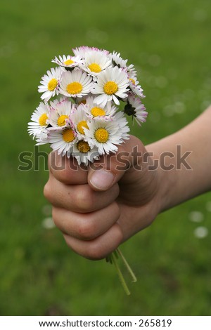 Kid hand offering a bouquet of daisies