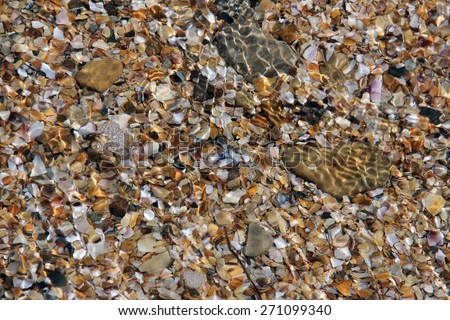 Sea sand texture made of shell and stone pieces  through a layer of wate. Seamless texture