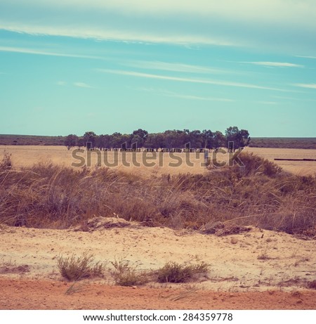 Australian Outback bush desert arid dry country Australia