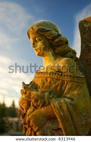 Frosty cemetery angel in early morning light