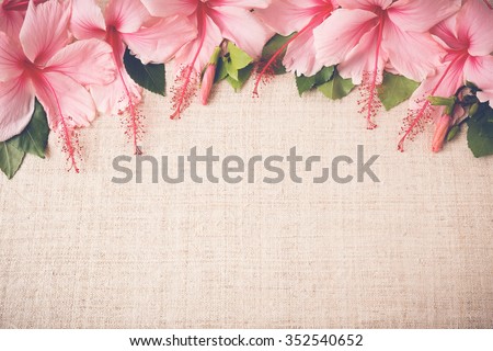 Pink Hibiscus flowers on linen background