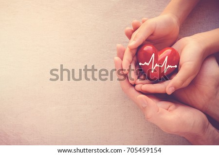 adult and child hands holding red heart with cardiogram, health care love and family concept
