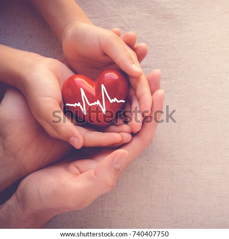 adult and child hands holiding red heart with cardiogram, health care love and family insurance concept