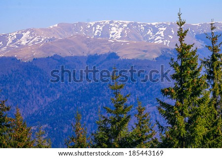 description - mountain landscape  with snow and trees title - snow mountain top