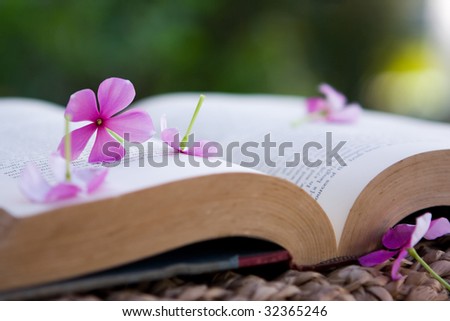 An old book lies open with pink flowers on top of the pages