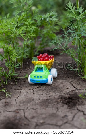 small colored toy car with harvest red berries