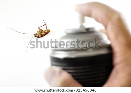The dead cockroach, Killed  by pest control with black  spray  in hand