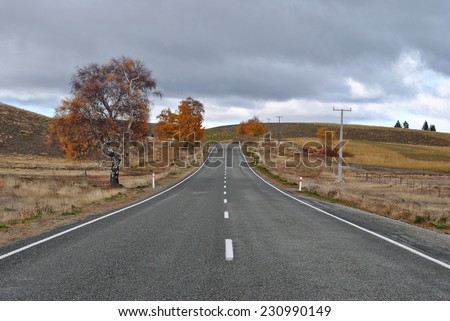 Autumn Road. Christchurch to Tekapo Road, Canterbury, New Zealand