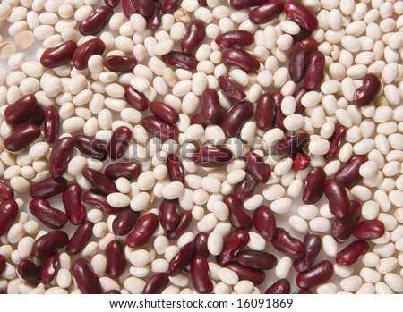 Group of red and white beans