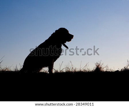 Sitting Labrador Silhouette